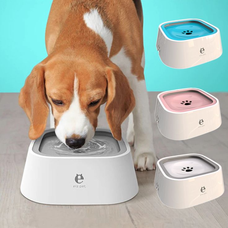 Pet water fountain
