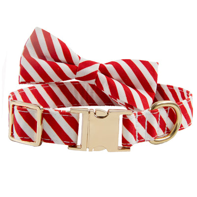 Dog Collar Lettering Collar Anti-lost Collar