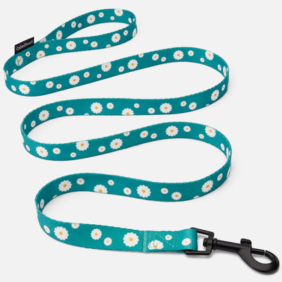 Floral Dog Leash Nylon Pattern Flower Print Adjustable Pet Leashes for Dogs Small Medium Large Puppy (L, Aquamarine)