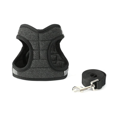 Fashion Dog Walking Chain Rope