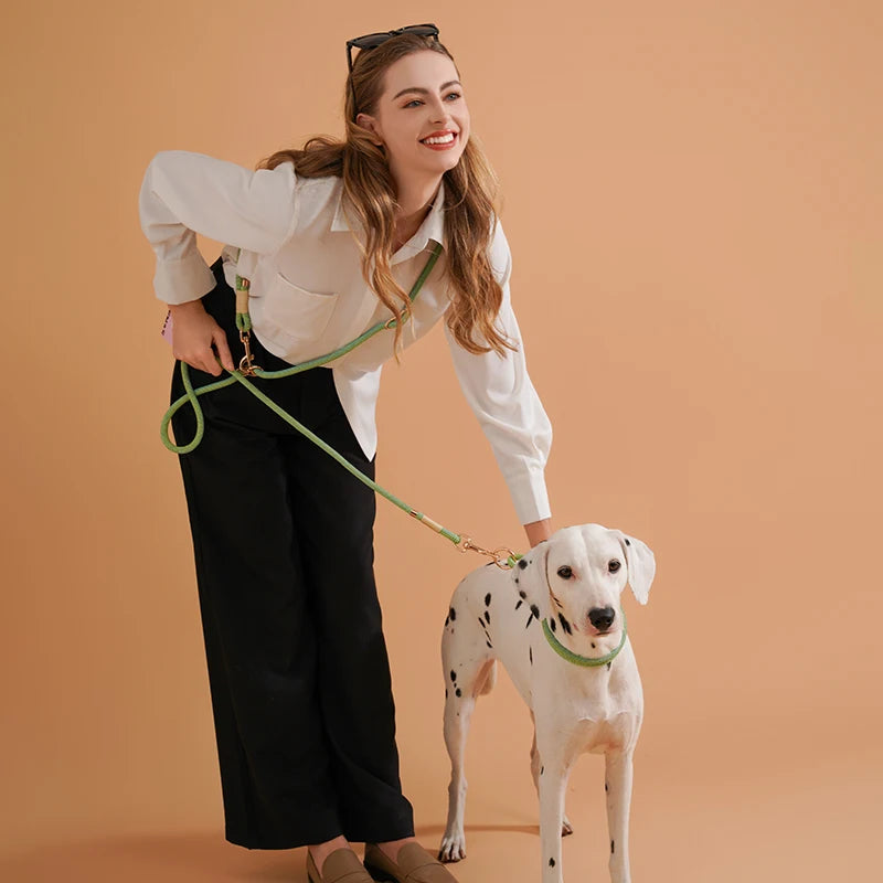 Hands-Free Dogs Lead Rope New Fashion Multi-Function Pet Leashes for Small Medium and Large Dogs Outdoor Running Walking 10 in 1