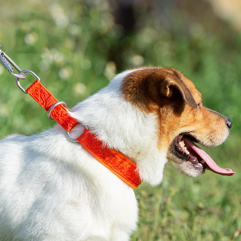 Fashion Personality P Chain Walking Dog Neck Ring