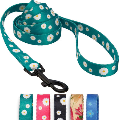 Floral Dog Leash Nylon Pattern Flower Print Adjustable Pet Leashes for Dogs Small Medium Large Puppy (L, Aquamarine)