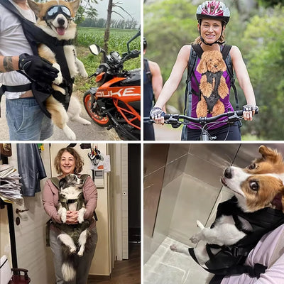 Pet Backpack Carriers Pets Dog Carriers Bags Portable Cat Backpack for Dogs Cat Double Shoulder Carry Bag Puppy Travel Dog Bags