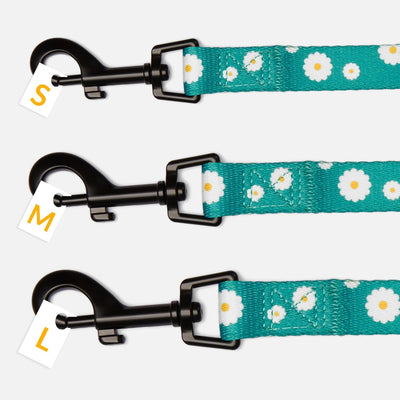 Floral Dog Leash Nylon Pattern Flower Print Adjustable Pet Leashes for Dogs Small Medium Large Puppy (L, Aquamarine)