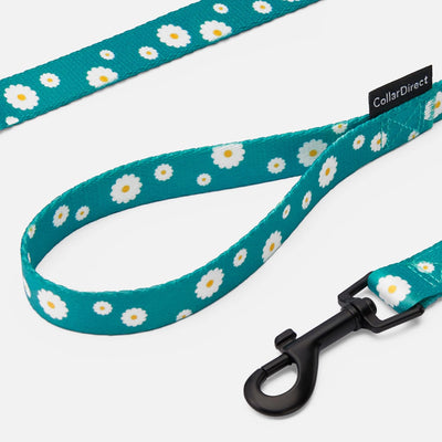 Floral Dog Leash Nylon Pattern Flower Print Adjustable Pet Leashes for Dogs Small Medium Large Puppy (L, Aquamarine)