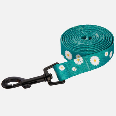 Floral Dog Leash Nylon Pattern Flower Print Adjustable Pet Leashes for Dogs Small Medium Large Puppy (L, Aquamarine)