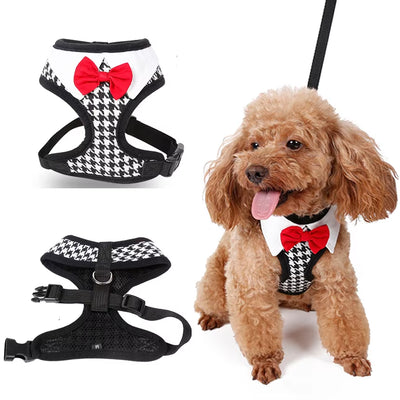 Gentleman Dog Collars and Harnesses Black Plover Bow Pet Leashes Accessories for Puppy Small Animal Chihuahua Yorkie Toy Terrier