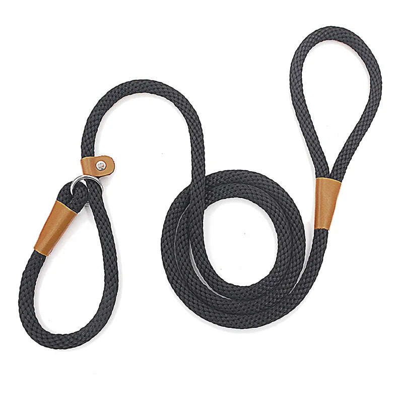 Dog Collar Slip Lead Dog Leash Nylon Solid Rope Leash Adjustable No Pull Training Dog Leash Medium and Large Dogs Pet Leashes