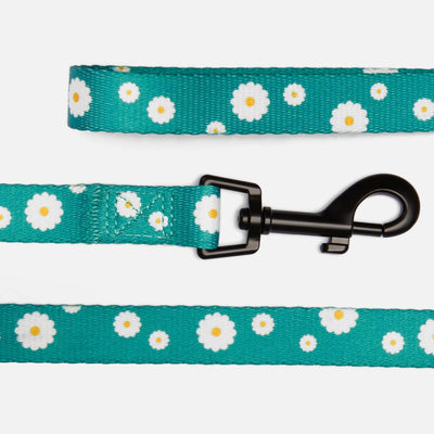 Floral Dog Leash Nylon Pattern Flower Print Adjustable Pet Leashes for Dogs Small Medium Large Puppy (L, Aquamarine)