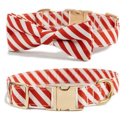 Dog Collar Lettering Collar Anti-lost Collar